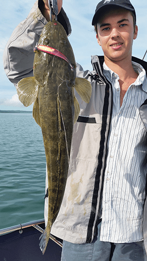 Alex nabbed a solid flathead by casting a Flash Wriggly into bait schools in 6m of water. 