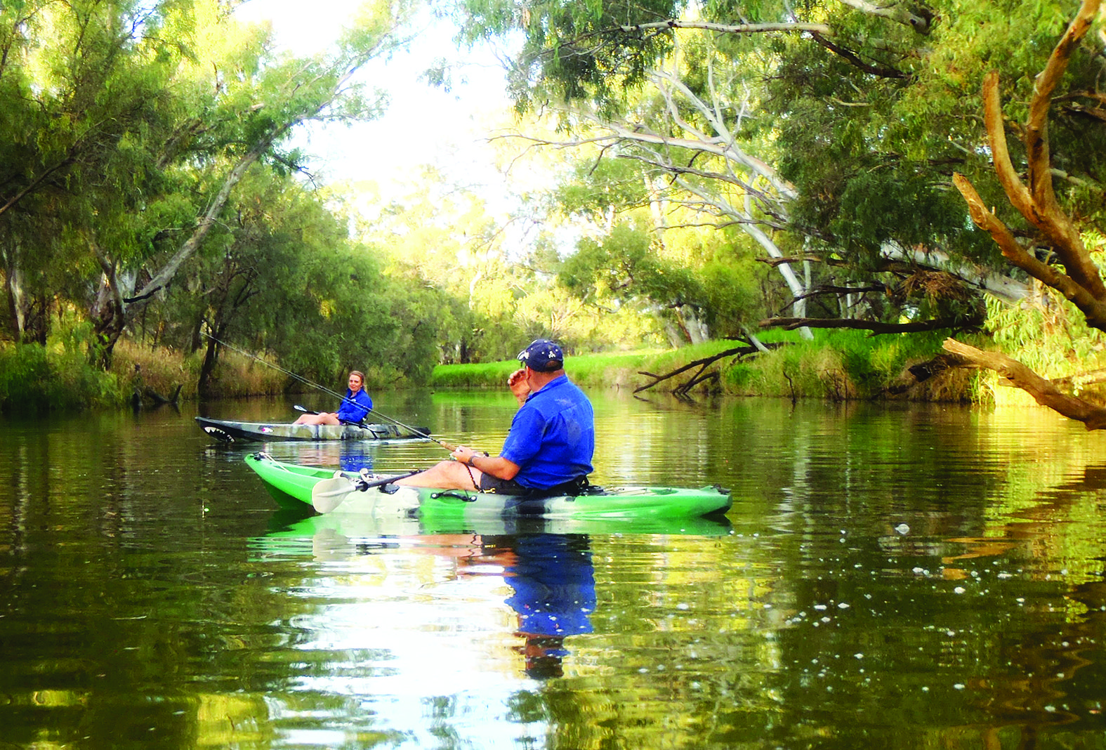 Smaller creeks with wide and deep waterholes are ideal locations for sourcing cod. Getting to these spots from entry points such as road bridges means small craft including kayaks are ideal.