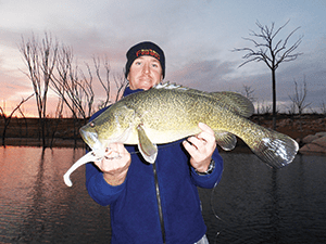 Matt with a small Copeton cod that nailed his Zerek Flat Shad 7” plastic.