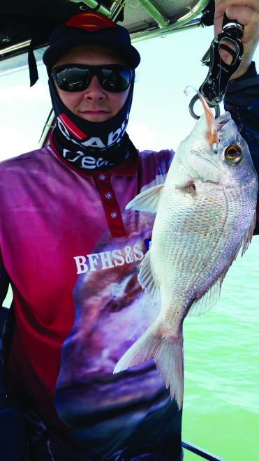 A bay island snapper caught on a Zerek Live Flash Minnow Wriggly.