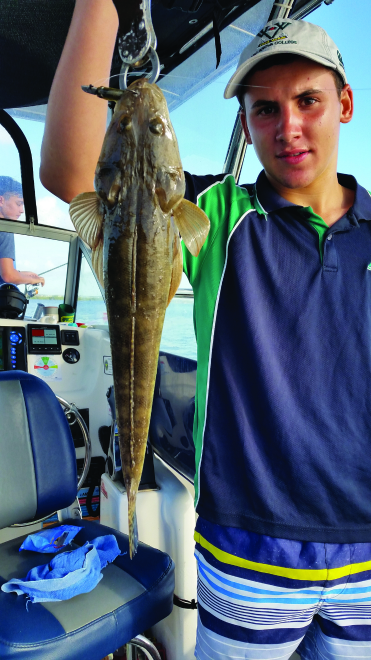 A few flathead were around at Easter. This one hit a Zerek Flat Shad.