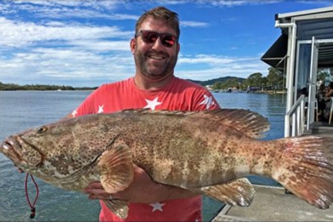 Alex Muir from Brisbane who boated a thumper gold spot cod on Wednesday's seven hour Trekka 2 charter to The Coffees. Photo: fishingnoosa.com.au