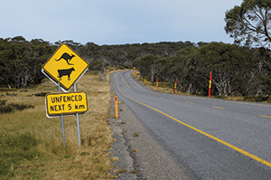 Victorian High Country