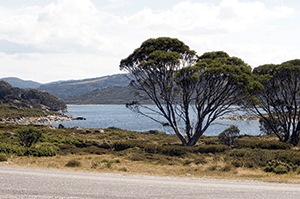 Victorian High Country