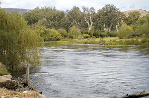 Victorian High Country