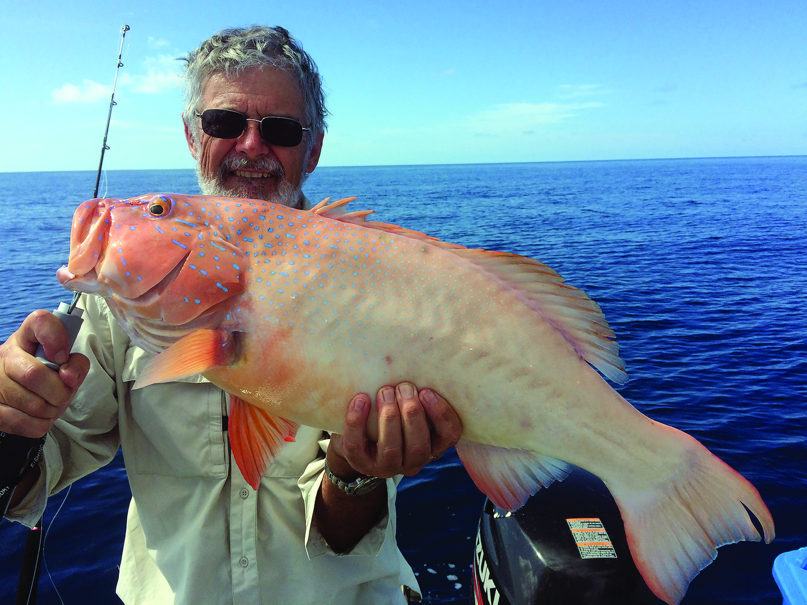 A cracker coral trout boated by Carey.