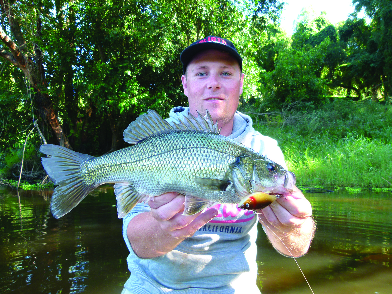 James with a bass taken on a Balista Juggernaut in the Kolan River.