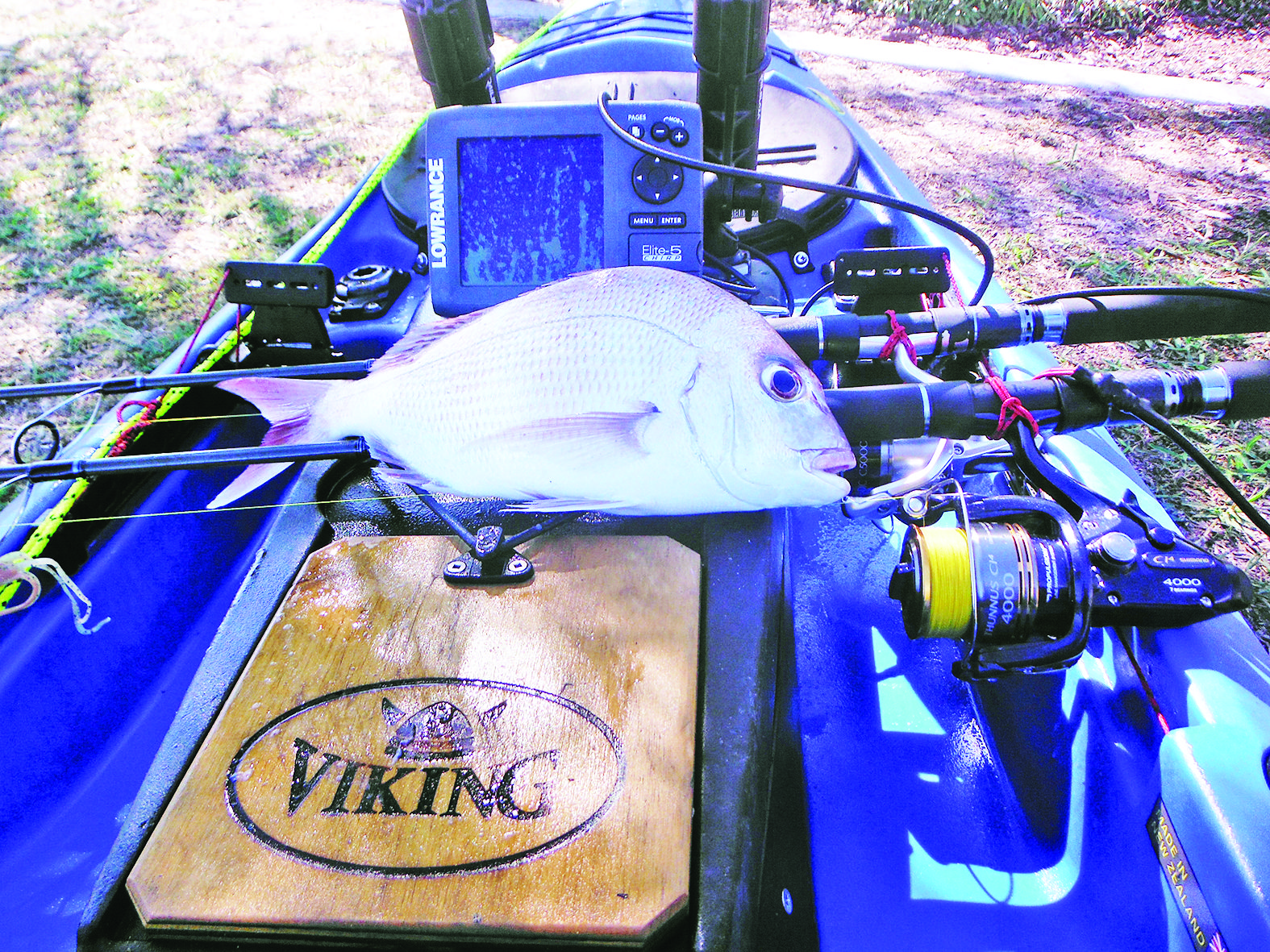 The author didn’t go home empty-handed, with this legal snapper making for a tasty dinner.