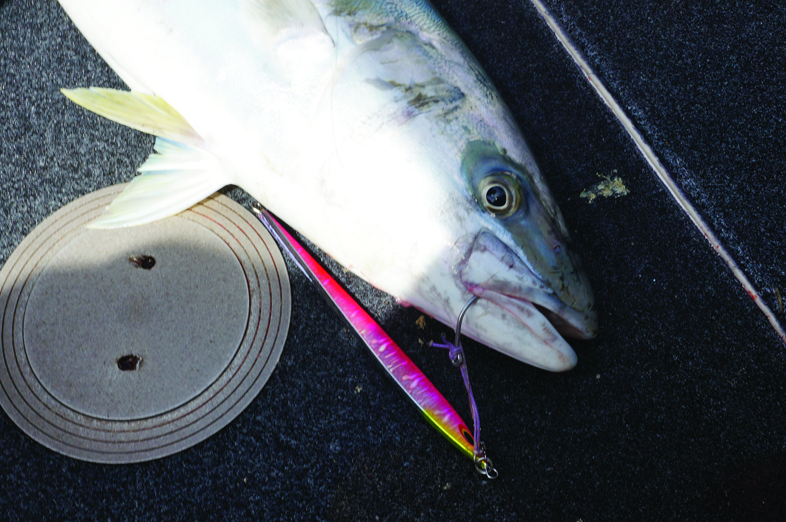 Longer, slowly worked jigs proved best on the kings.