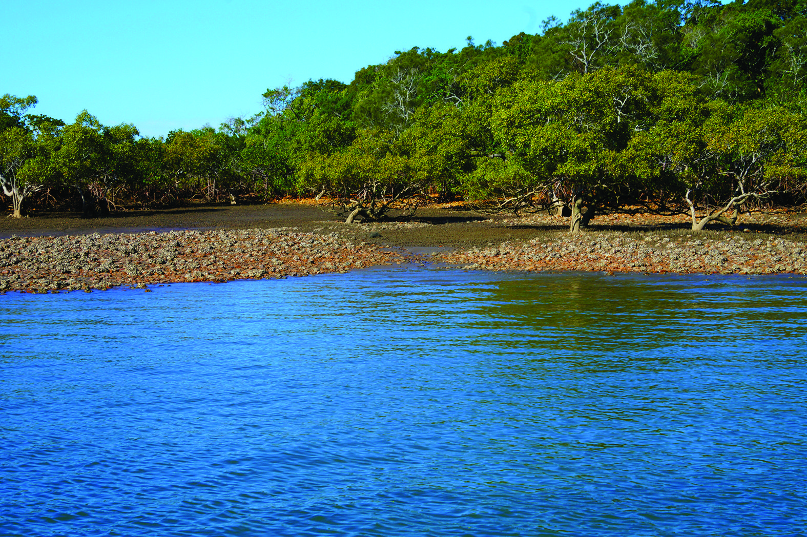 This little drain is the last run-off point for this flat. Flathead position themselves close to these areas, waiting to ambush any bait being flushed off the flat on a run-out tide. Cast as close as possible and work your lure back to the boat with a slow retrieve.