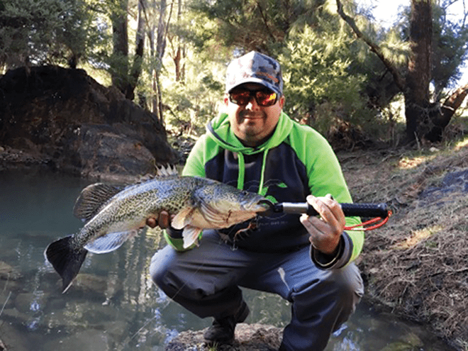 This fish had a big paddle tail.