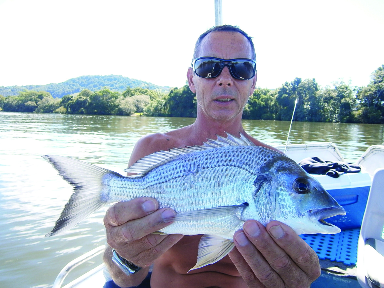 Bream are excellent fighters on small lures and light equipment.