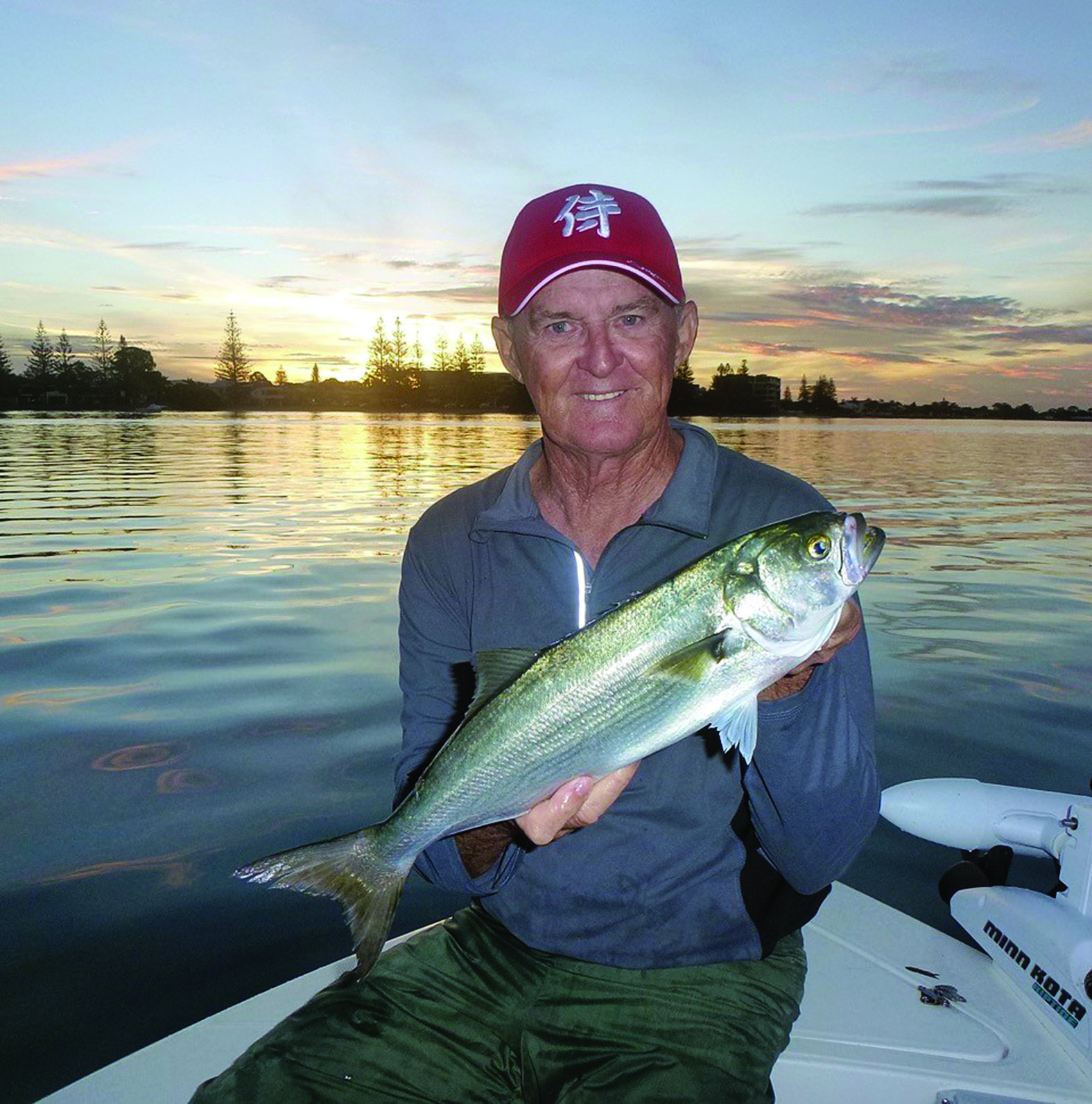 Tailor have been a little scarce but the ones found in the Broadwater are of good size.