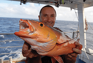 Red bass were a common capture when bottom bashing. 