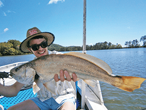 A typical school jew taken from one of the deep holes in the Tweed River. 