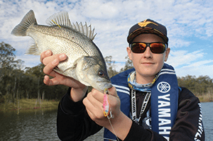 A fat bass taken on a 65mm Zerek Fish Trap.