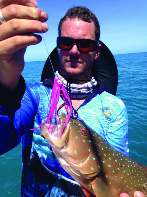 A coral trout taken on a homemade jig.