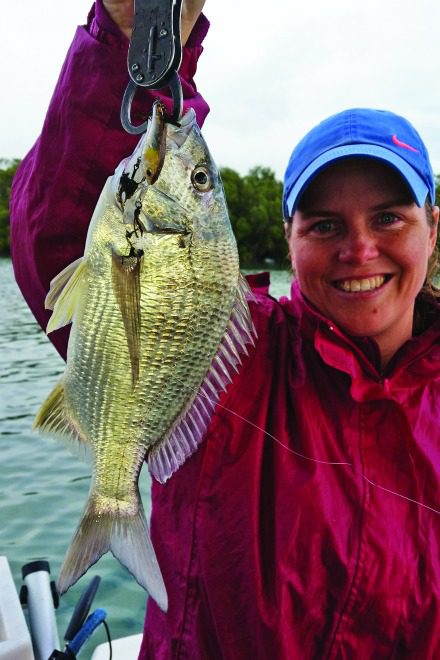 Bream are a common by-catch while trolling small hard-bodied lures for flathead.