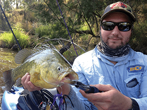 Billy hooked this golden perch by casting at structure with a Smak Spinnerbait. 