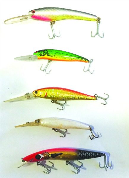 Hard-body lures from top to bottom: Lethal Lures Barra Slayer, Green Bomber, Lucky Craft Pointer, Maria DD90 and Classic Barra.