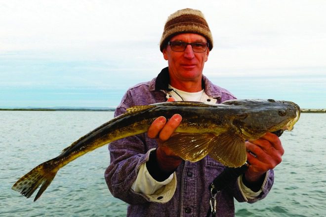 Mal hooked a 66cm flathead on a Zerek Tango Shad. 