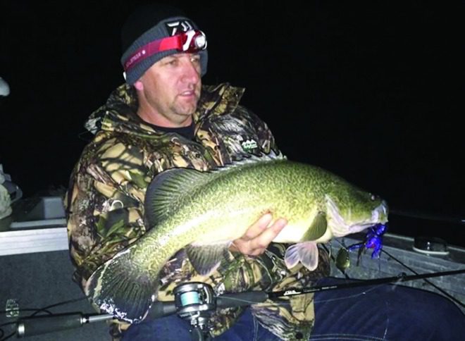 Parto from 3waysfishing with a 60cm Murray cod.