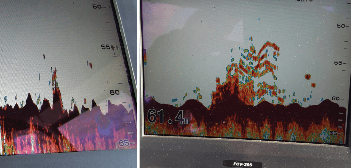 A well set up sounder and transducer is critical in finding small isolated rocks holding trophy fish. The left picture was taken sounding over the spot at 22 knots in choppy seas. The image on the right is sounding back over it at a slow sounding speed. Having the correct setup will allow you to find such spots that are generally missed with poor setups. The sounder in this case is a Furuno FCV-295 with a 2kW high-frequency transducer. 