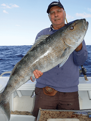 Terry with a huge 14kg green jobfish that fell to a live yakka. These fish look mean and fight very hard. 