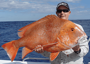 Brett Seng is no stranger to catching big fish. He upgraded his PB red emperor three times on the trip and ended up with this 15kg beast wide of Fraser Island. 