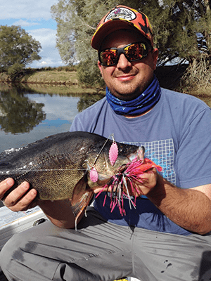 The author with a dark golden perch captured on a Last Cast Spinnerbait. 