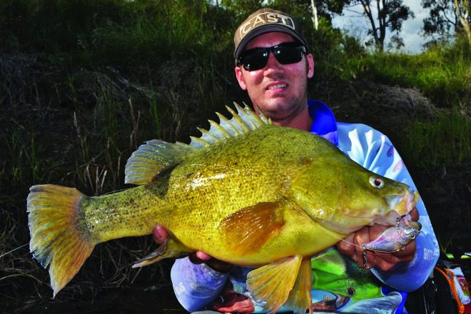 The author with a cracker fat yella. Getting these fish away from structure can be fun.