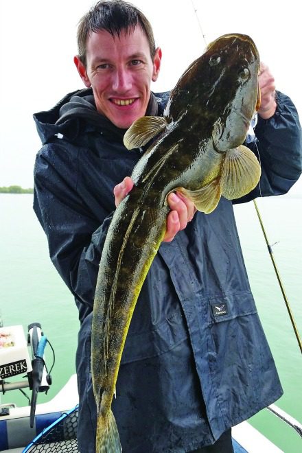 This 72cm flathead trolled up on a Zerek Tango Shad.