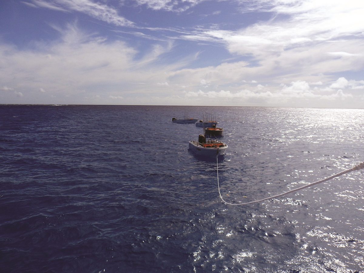 The 4.2m poly dories are stabled between sessions on a rope off the back of the mother ship.