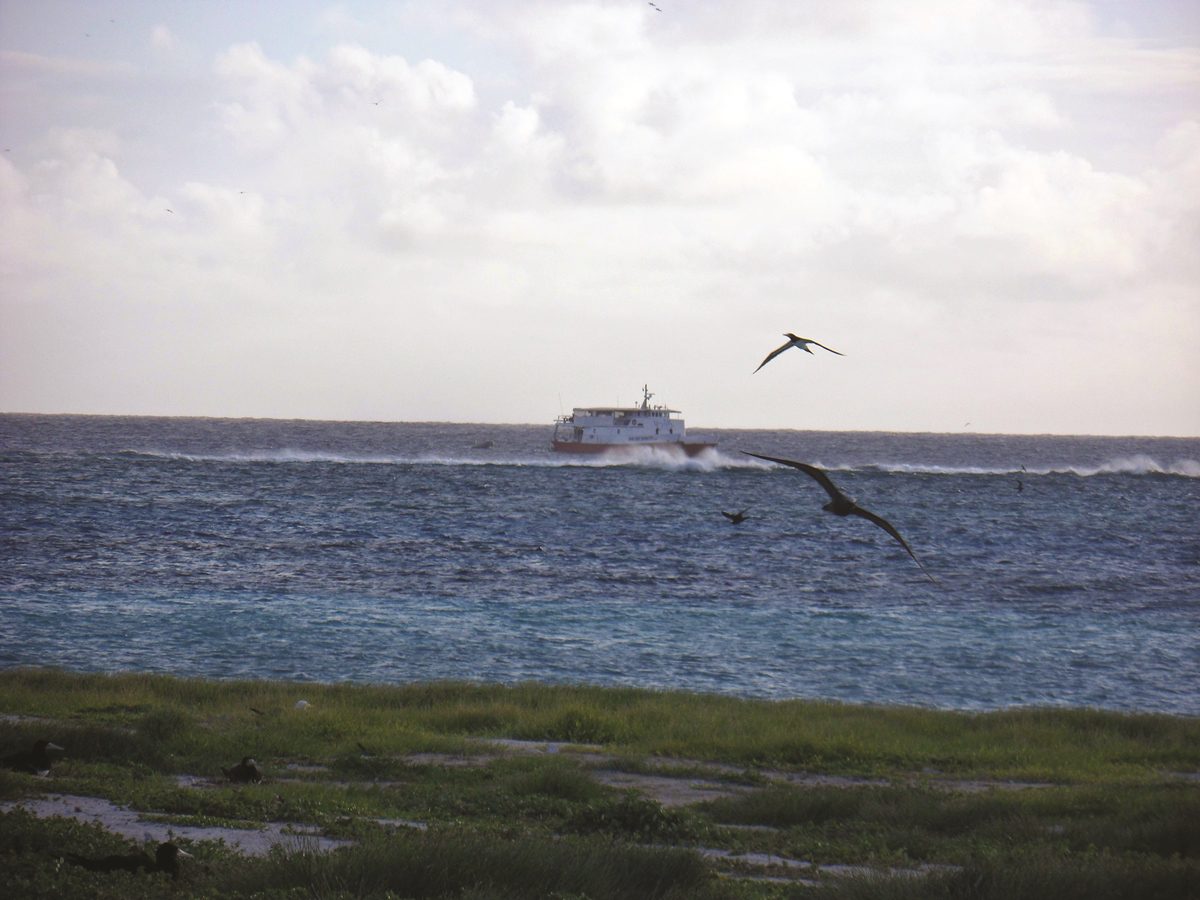 The Big Cat sat just off the edge of the reef from Bird Islet.