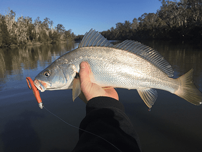 An average jewie from Noosa. Not many decent jew are to be found in the upper reaches of the Noosa River.