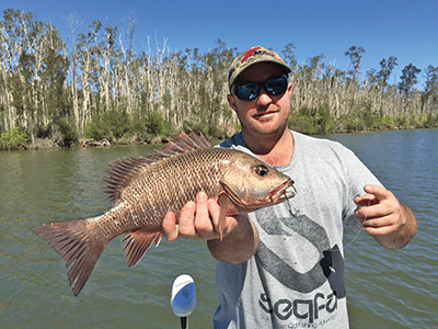 A Noosa jack that chomped a TT Head Hunter Extreme jig head.