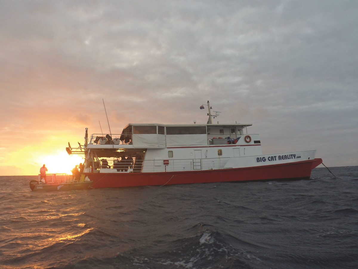 A quick snap of the Big Cat mother ship as the sun faded on the last day at Wreck Reefs. Such a great vessel.