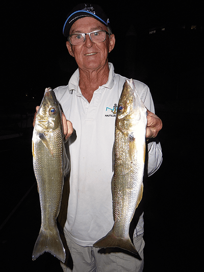 The author with a couple of cracker night-time whiting from the Nerang River. 