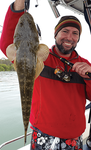 catch flathead 7