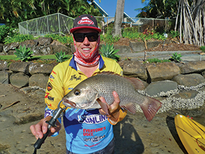 Gold Coast mangrove jack 3