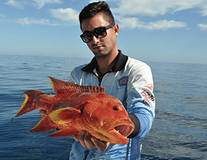 coral trout 5