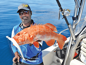 coral trout