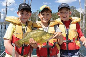 Monster bass and yellowbelly at Moogerah 4