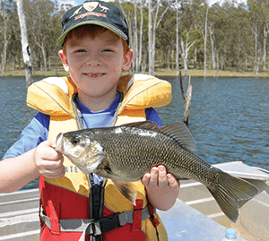 Monster bass and yellowbelly at Moogerah