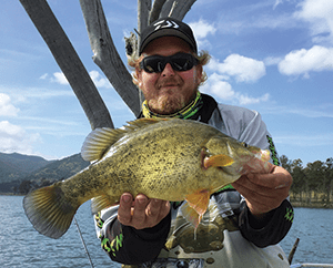 Monster bass and yellowbelly at Moogerah 5