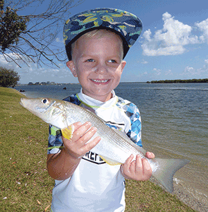 broadwater fishing