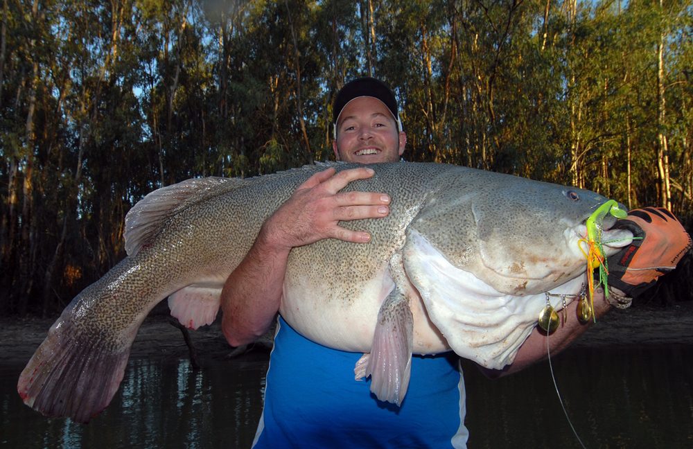 bassman 4x4 spinnerbait