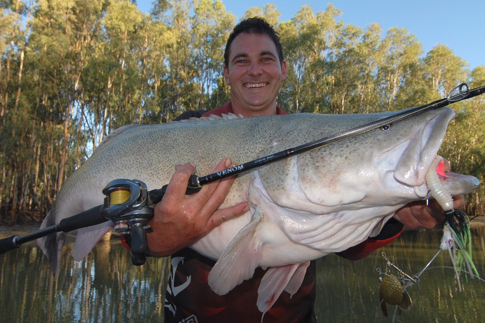 bassman 4x4 spinnerbait