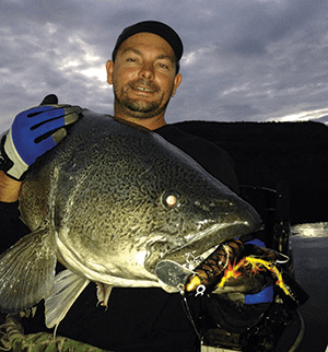 Murray cod