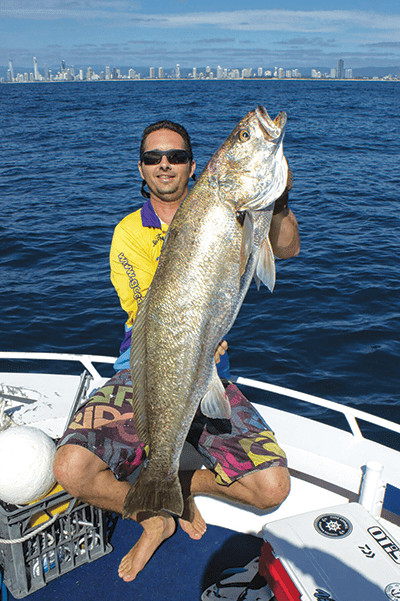 fishing the gold coast jewfish live bait lures